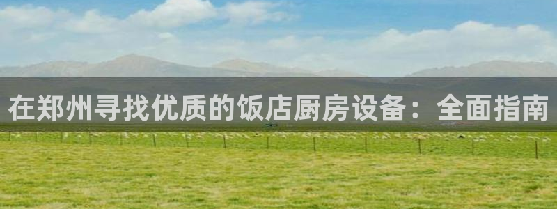 尊龙凯时产品种类：在郑州寻找优质的饭店厨房设备：全面指南