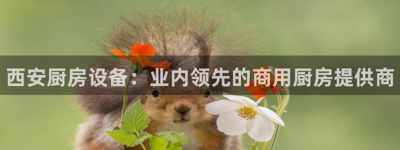 尊龙app认可ag发财网：西安厨房设备：