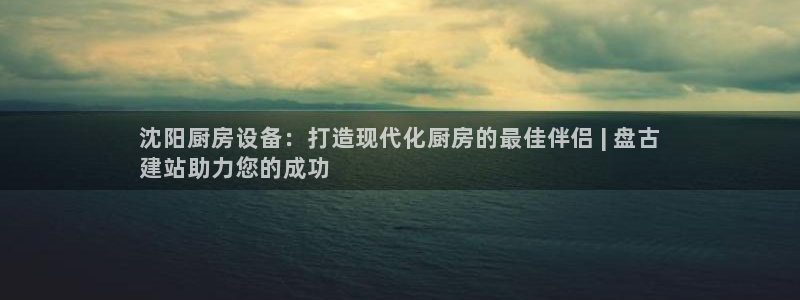 尊龙凯时是哪个国家的：沈