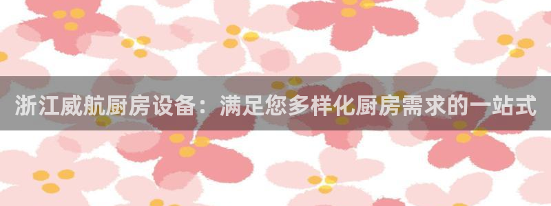 尊龙d88平台登录：浙江威航厨房设备：满足您多样化厨房需求的