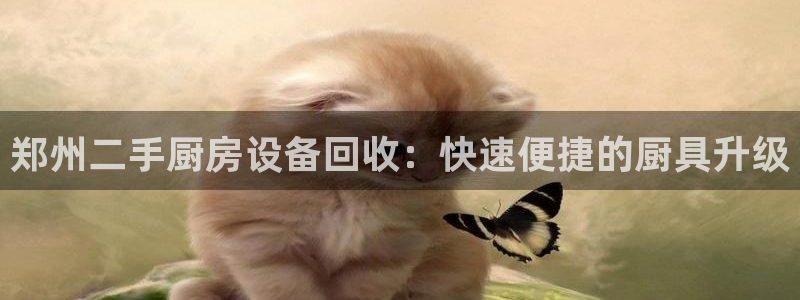 尊龙app|首选agdaohang