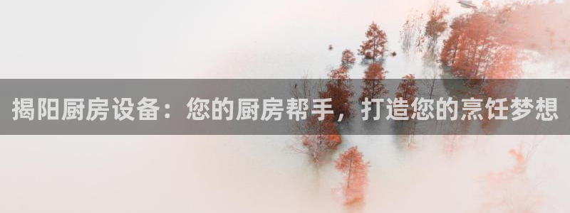 尊龙t400和尊龙t300区别：揭阳厨房设备：您的厨房帮手，