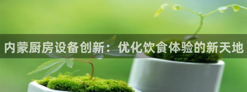 尊龙凯时赢不了