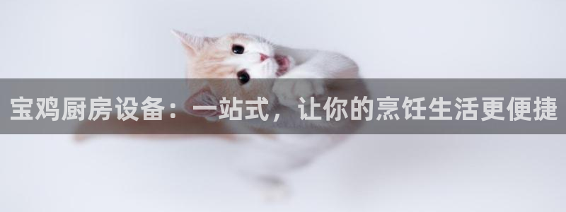 尊龙手机客户端app