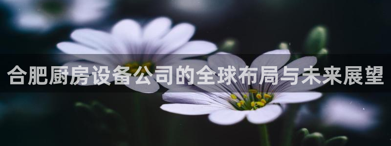 凯时k8娱乐唯一官网