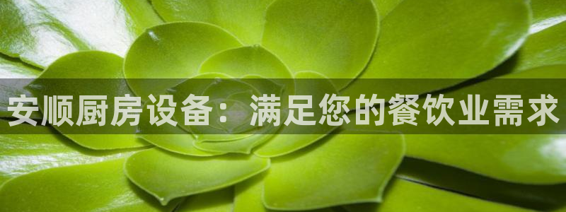尊龙凯时能不能提现?：安顺厨房设备：满足您的餐饮业需求