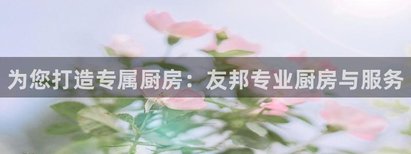 尊龙凯时平台官网
