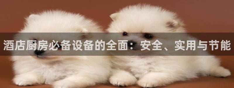 z6com尊龙凯时代理