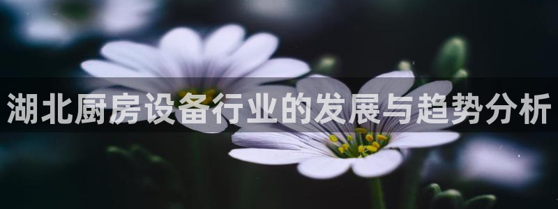 尊龙d88会员