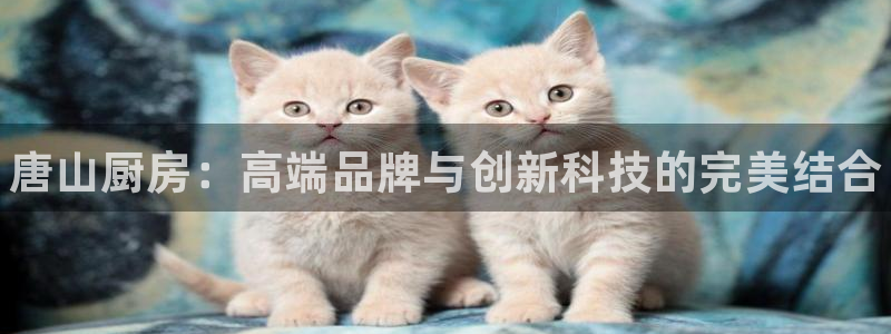 凯时k8官网首页