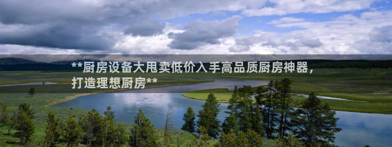 尊龙凯时是大平台吗：**厨房设备大甩卖低价入手高品质厨房神器