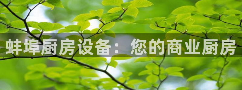 尊龙人生就是博下载：蚌埠厨房设备：您的商业厨房
