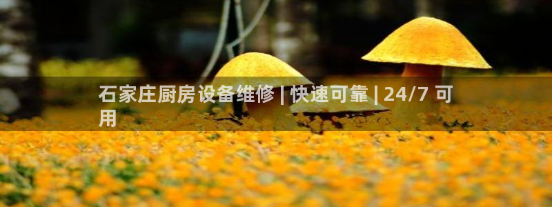 尊龙d88官网新版：石家庄厨房设备维修 | 快速可靠 | 2