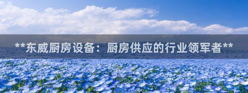 尊龙凯时为什么输了钱：**东威厨房设备：厨房供应的行业领军者