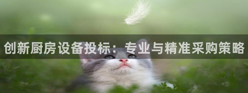 尊龙官方网站最新版V9.3.06介绍
