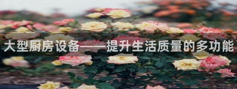 尊龙网站 人生就是博