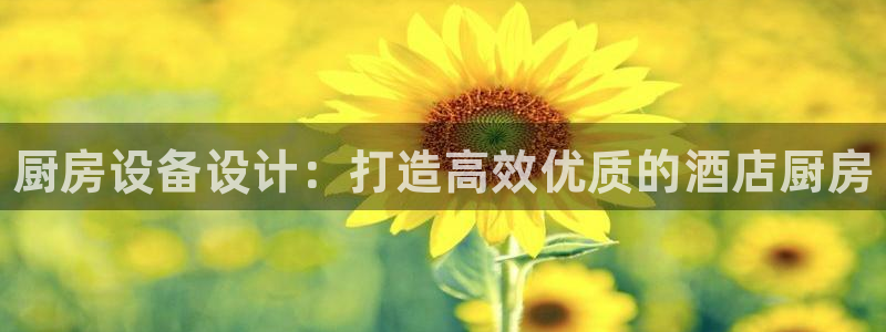 尊龙登录首页：厨房设备设计：打造高效优质的酒店厨房