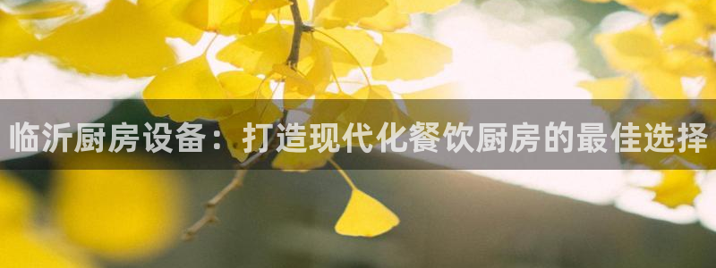 尊龙凯时是大平台吗:临沂厨房设备:打造现代化餐饮厨房的最佳选