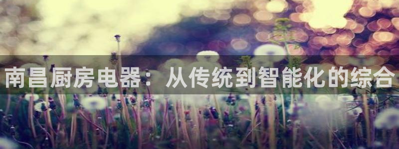 尊龙凯时app安装