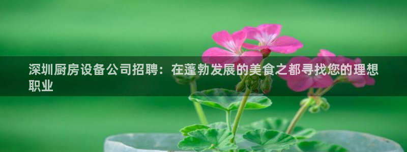 凯时app赢AG发财网来