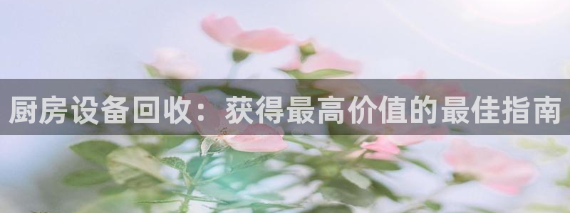 尊龙凯时人生就是搏!平台:厨房设备回收:获得最高价值的最佳指