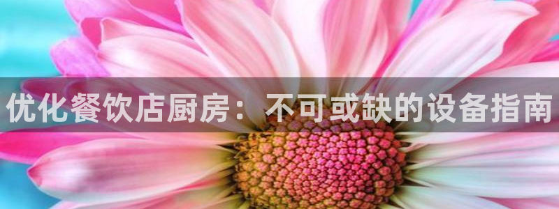 尊龙凯时人生就是博中国官网：优化餐饮店厨房：不可或缺的设备指