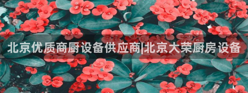 尊龙官网首页：北京优质商