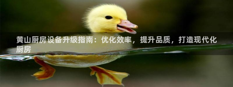 尊龙凯时官网：黄山厨房设备升级指南：优化效率，提升品质，打造