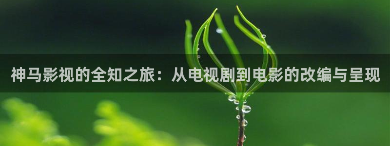 天天平民影院