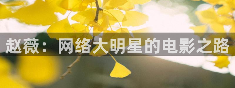 平民影院在线观看高清完整版免费 双面美人